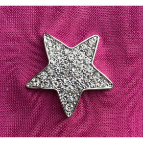 Mini broche aimant étoile...